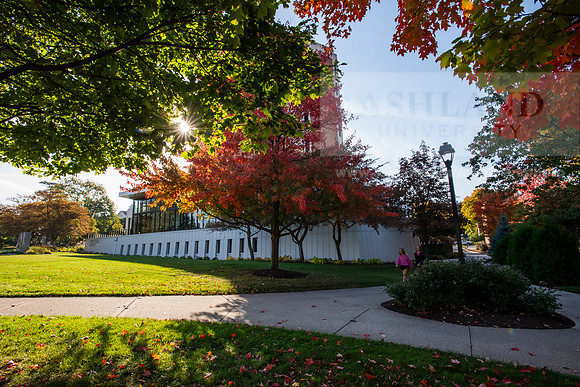 FallCampusLife1024AWB_5135