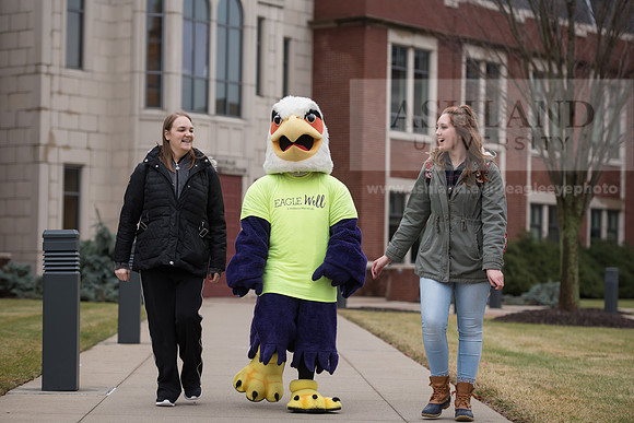 Tuffy - Campus Wellness Program