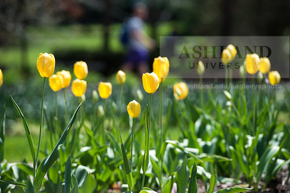 SpringCampus0515ALW_3113