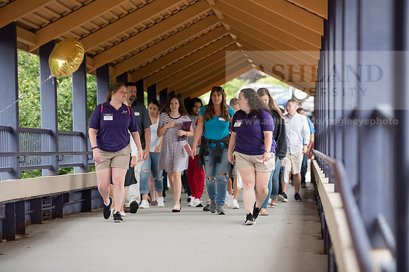 Orientation Number 2
