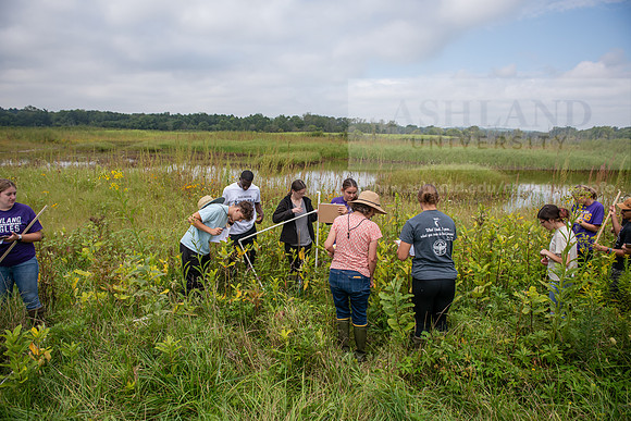 Biology_Saunders_BlackFork_Milkweed0923AWB_3498