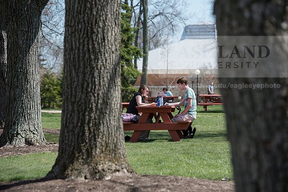 Spring Campus