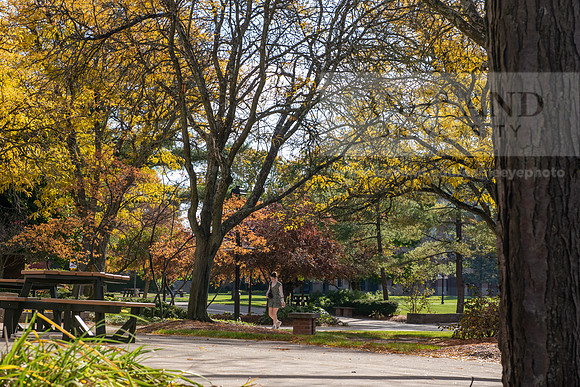 FallCampusLife1024AWB_5641