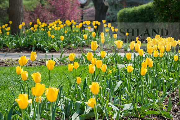 SpringCampus0515ALW_3467