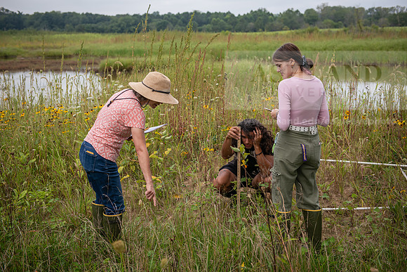 Biology_Saunders_BlackFork_Milkweed0923AWB_3513