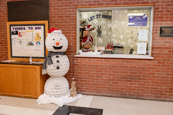 ChristmasDecorations1224AWB_5347