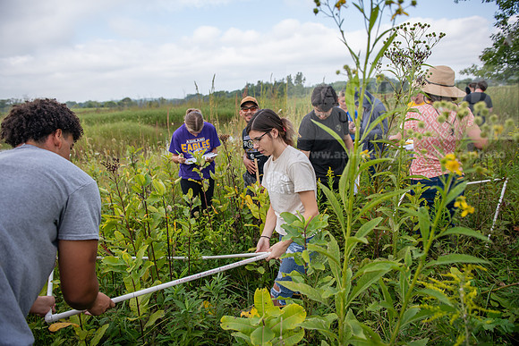 Biology_Saunders_BlackFork_Milkweed0923AWB_3567