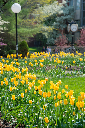 SpringCampus0515ALW_3453