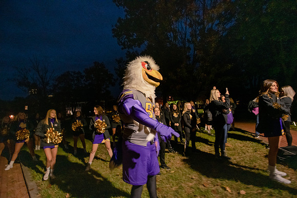 ParadeOfPurple1021ALW_6155