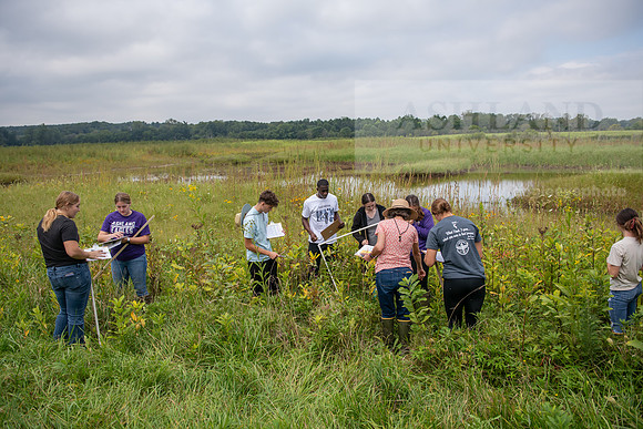 Biology_Saunders_BlackFork_Milkweed0923AWB_3495