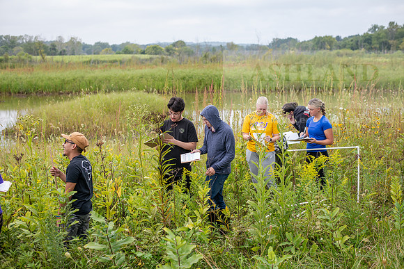 Biology_Saunders_BlackFork_Milkweed0923AWB_3598