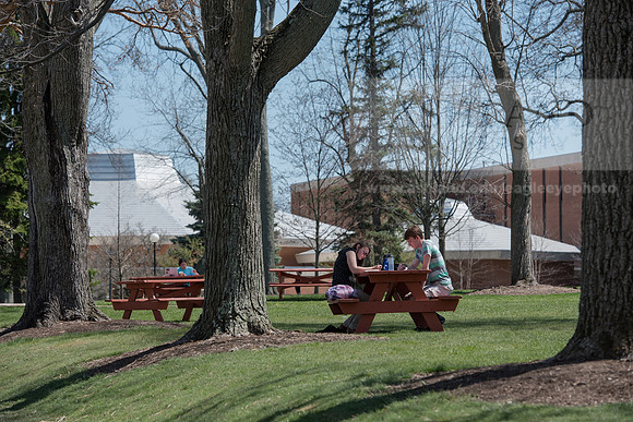 Spring Campus