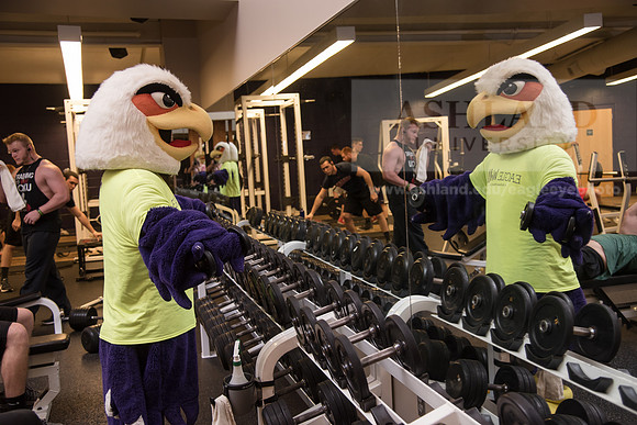 Tuffy - Campus Wellness Program