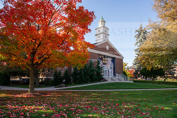 FallCampusLife1024AWB_5047
