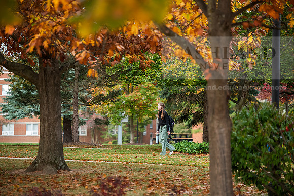FallCampusLife1024AWB_8877