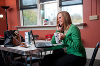 Online Learning