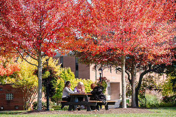FallCampusLife1024AWB_5924