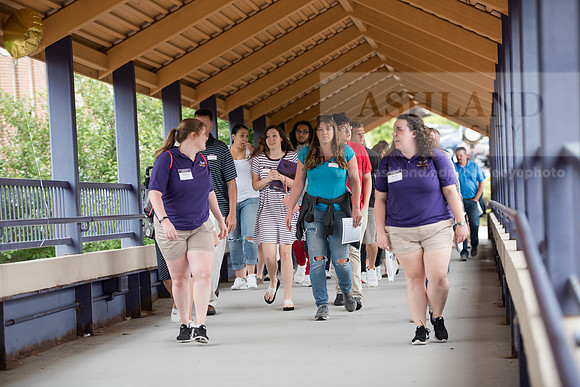 Orientation Number 2
