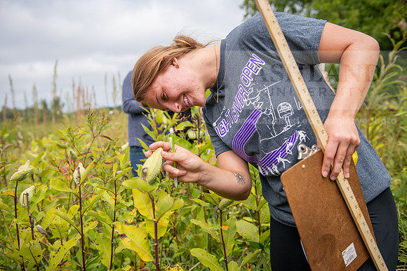 Biology_Saunders_BlackFork_Milkweed0923AWB_3625