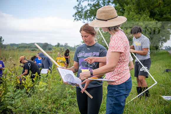 Biology_Saunders_BlackFork_Milkweed0923AWB_3555