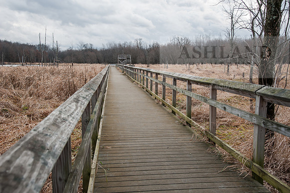 Black Fork Wetlands