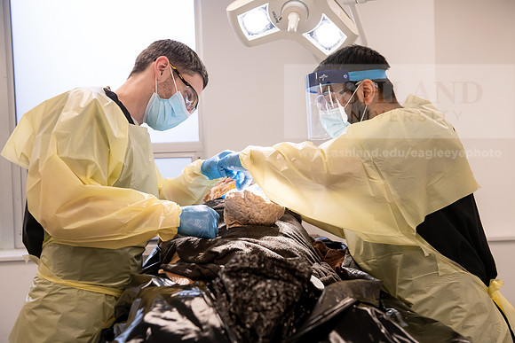 PAProgramCadaverLab1221ALW_3646