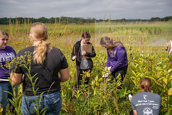 Biology_Saunders_BlackFork_Milkweed0923AWB_3664