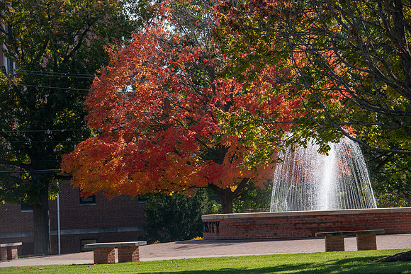 FallCampusLife1024AWB_5681