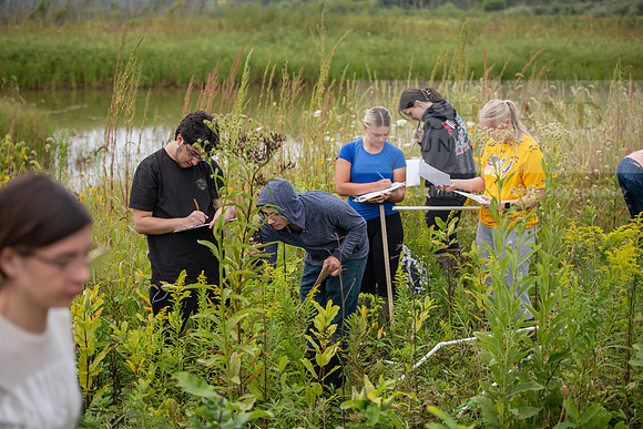 Biology_Saunders_BlackFork_Milkweed0923AWB_3592