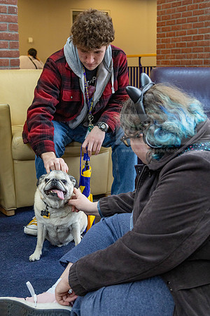 DestresswithAnimals0424MC__1335