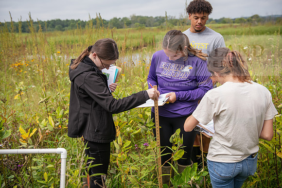 Biology_Saunders_BlackFork_Milkweed0923AWB_3619