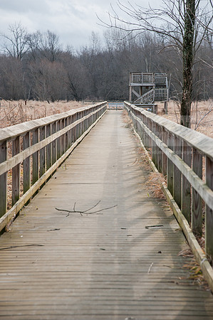 Black Fork Wetlands