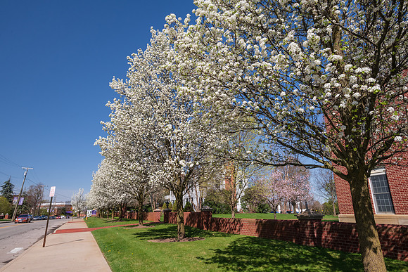 SpringCampus0421ALW_5716