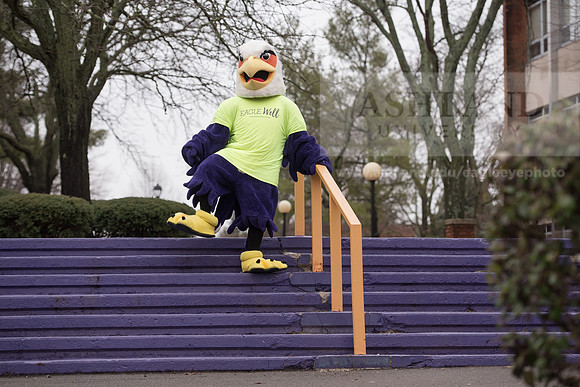 Tuffy - Campus Wellness Program