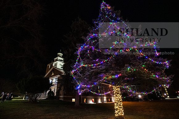 ChristmasDecorations1224AWB_5245