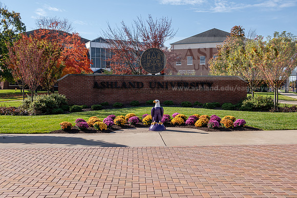 FallCampusLife1024AWB_5670