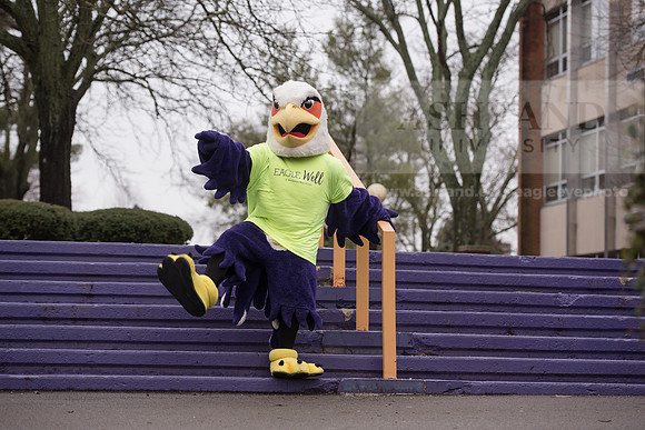 Tuffy - Campus Wellness Program