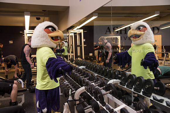 Tuffy - Campus Wellness Program
