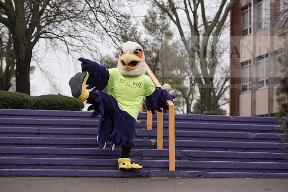 Tuffy - Campus Wellness Program