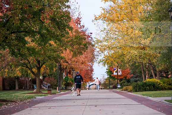 FallCampusLife1024AWB_7852