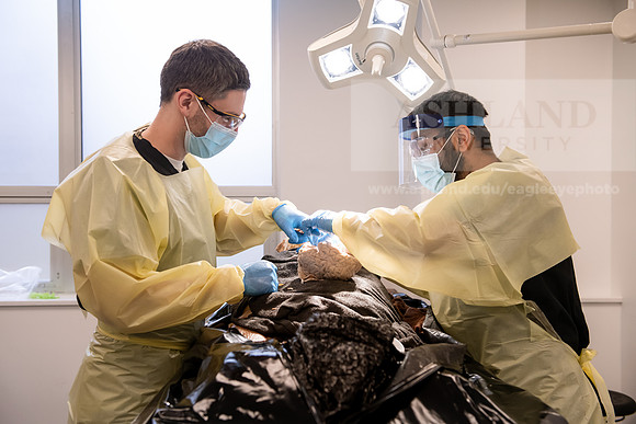 PAProgramCadaverLab1221ALW_3649