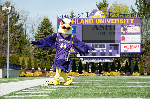 Tuffy Preparing for Marathon
