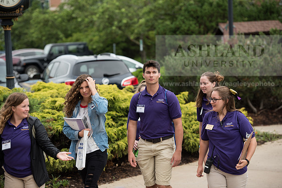 Orientation Number 2