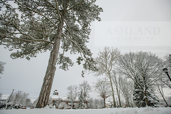 WinterCampusLife0123ALW_3173