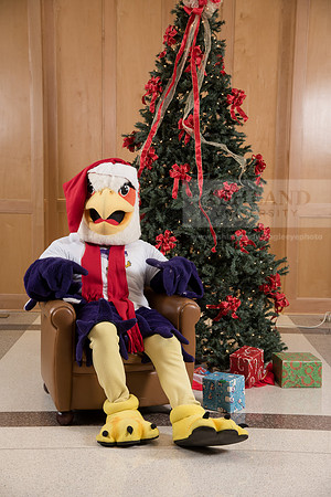 169TuffyChristmas1216ALW_9635