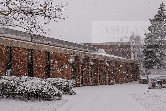 WinterSnowfall0225AWB_4086