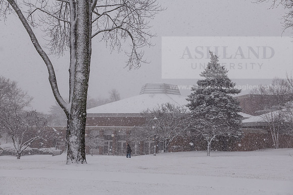 WinterSnowfall0225AWB_4107