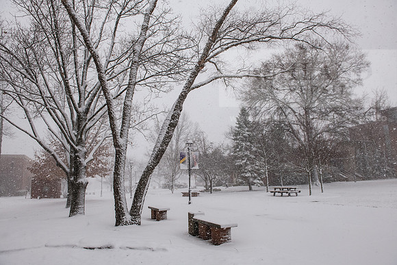 WinterSnowfall0225AWB_4120
