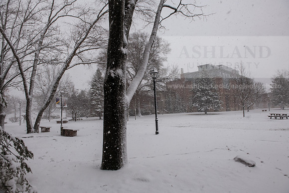 WinterSnowfall0225AWB_4129