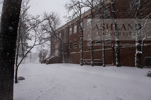 WinterSnowfall0225AWB_4137